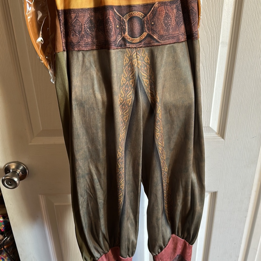 Disney Raya Costume - Picture 4 of 8